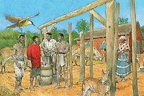 Paramaribo, 1843 DGS2-Paramaribo,1843