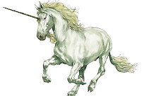 eenhoorn eenhoorn