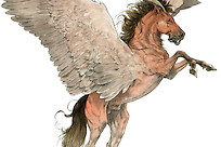 pegasus